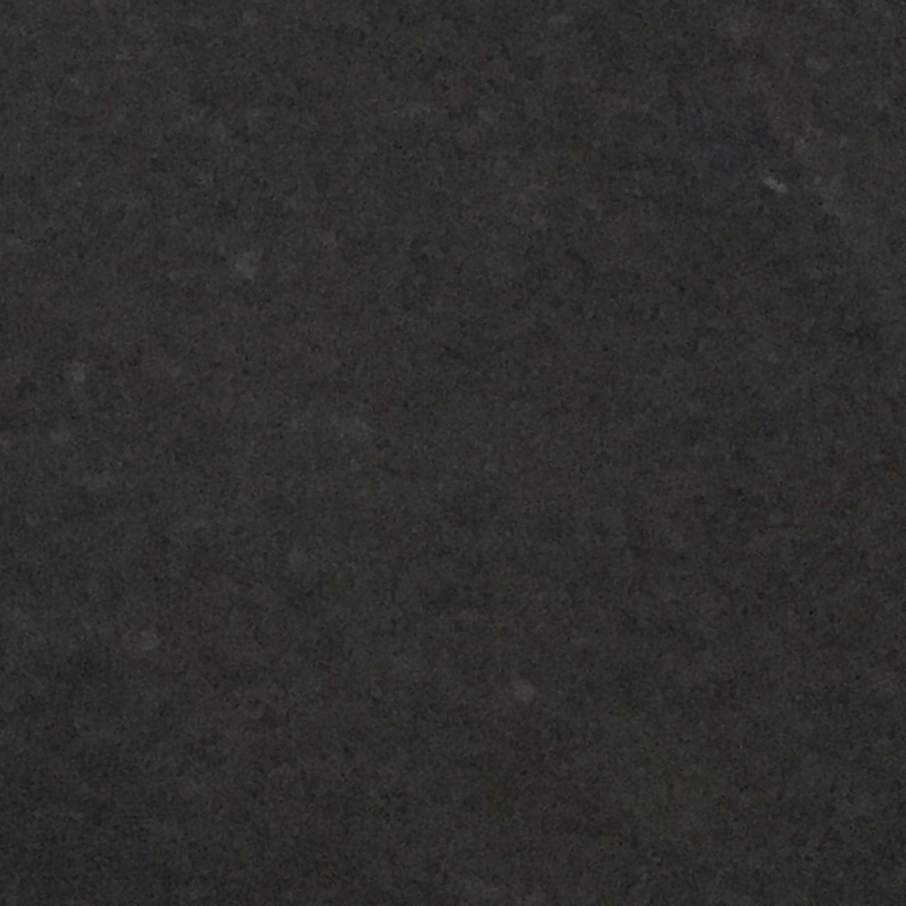 Meet your Posher, Pippa